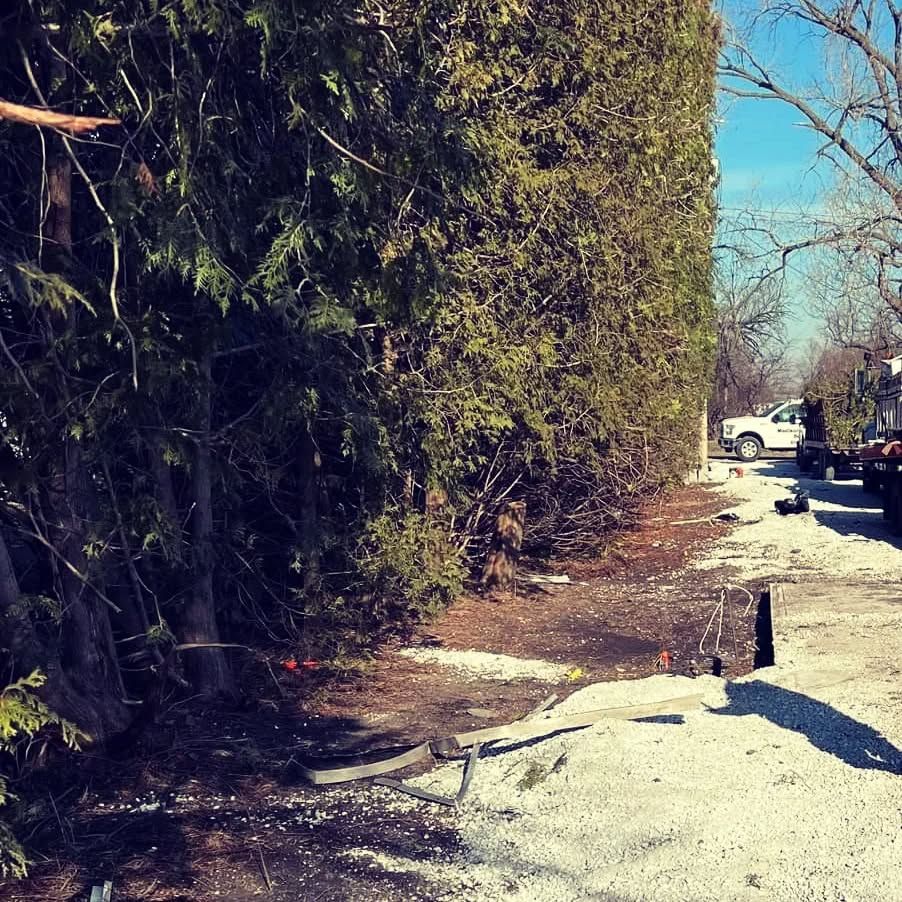 All Photos for Highborn Tree Service in Wheatfield, IN