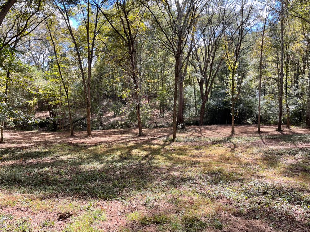 All Photos for KLNAX Enterprises in Newton County, GA