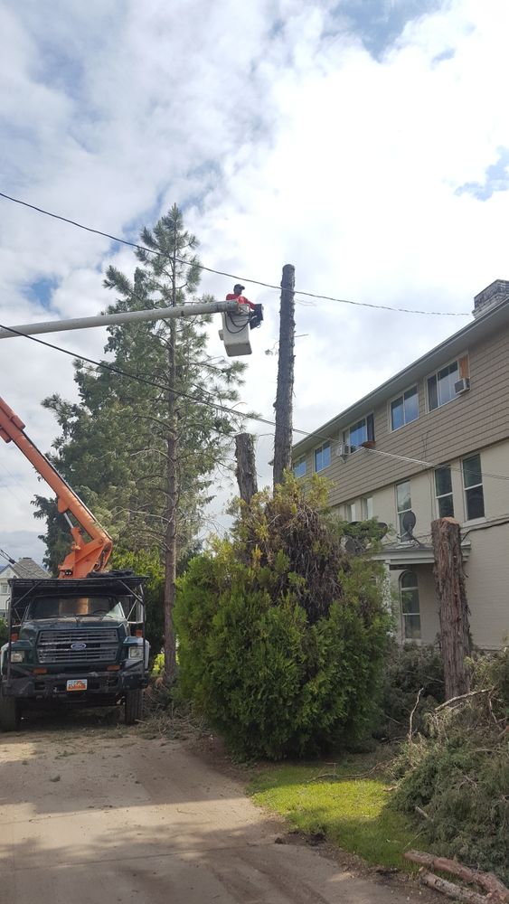 All Photos for Platinum Lawn Service in Santaquin, UT