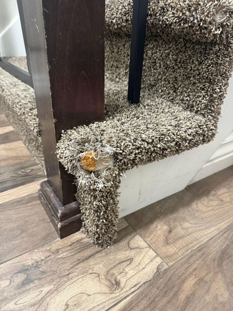 All Photos for All About Flooring Utah in Salt Lake City, UT