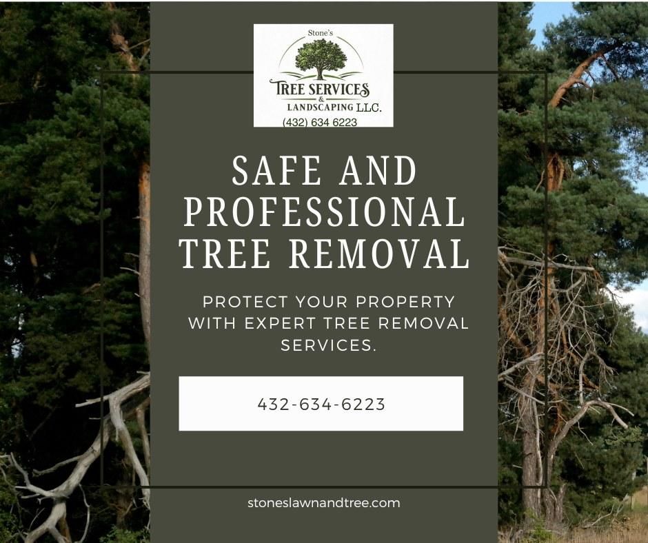 All Photos for Stone's Tree Services and Landscaping in Midland, TX