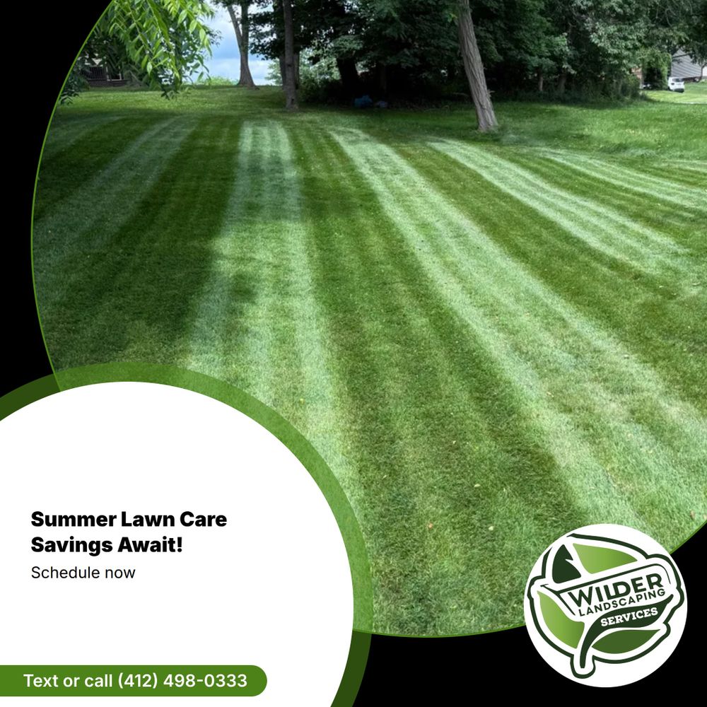 All Photos for Wilder Landscaping Services in South Park, PA