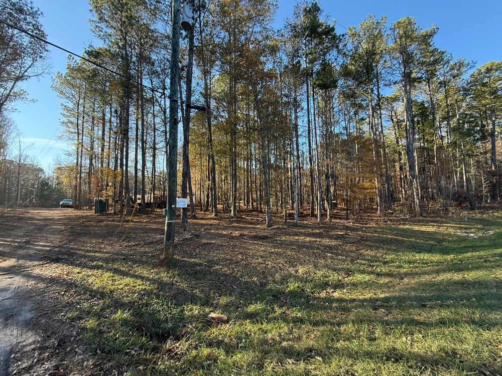 Forestry Mulching for Dirt Pro Land Solutions in Fayetteville, GA