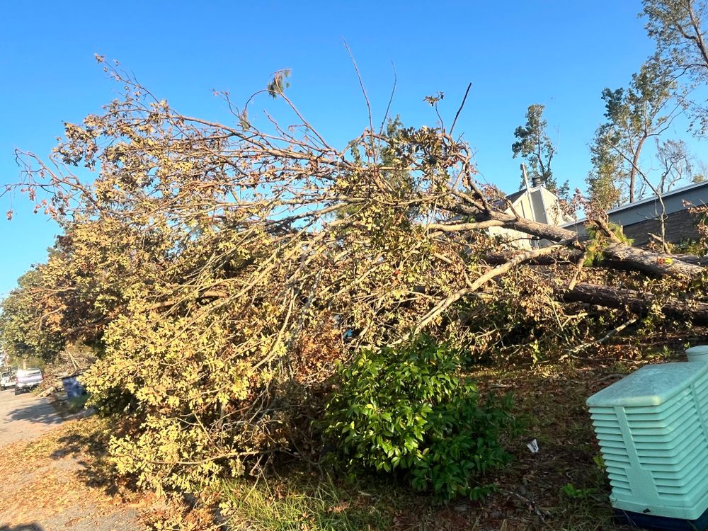 All Photos for Bulldawg Disaster Response in Atlanta, GA