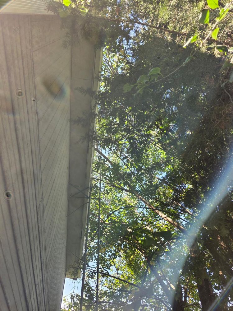 All Photos for Lawn Ranger Yard And Tree Service LLC in Ottumwa, IA