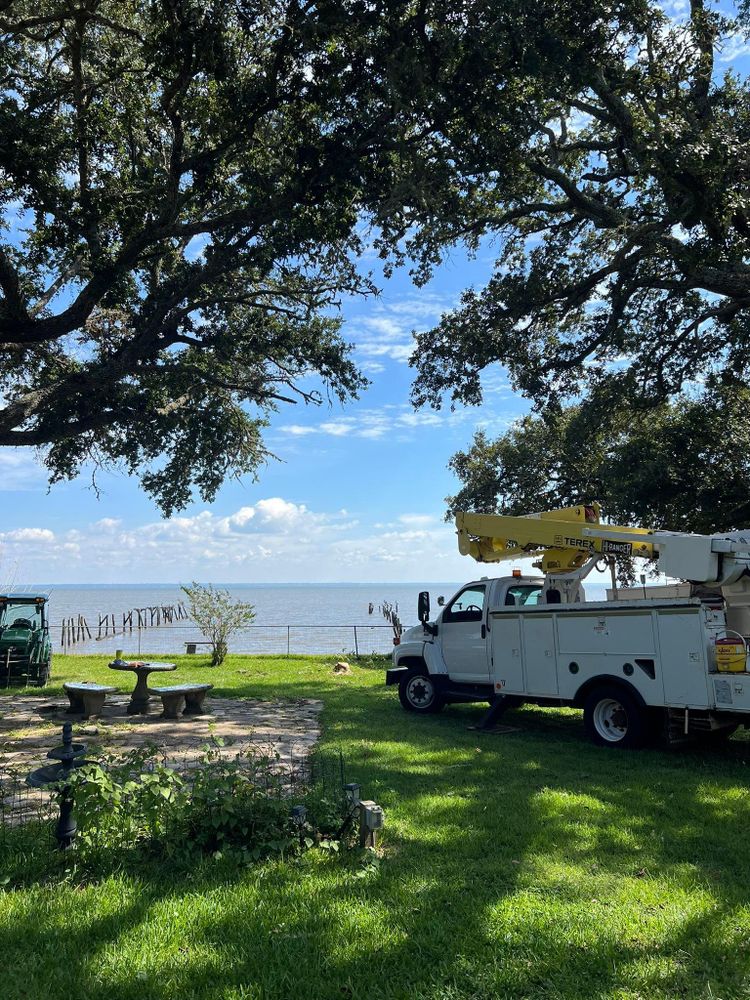 All Photos for Southern Venom Services in Daphne, AL