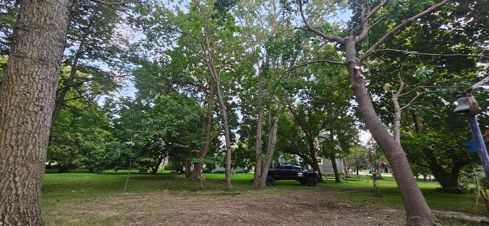 All Photos for Highborn Tree Service in Wheatfield, IN