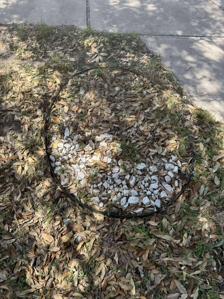 All Photos for Fresh Yards Landscaping in Austin, Texas