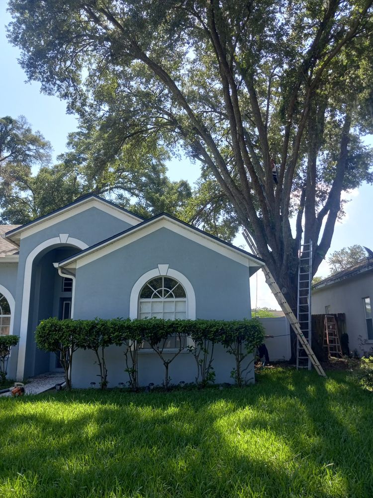 Our professional shrub trimming service enhances curb appeal by expertly shaping and maintaining your shrubs, promoting healthy growth while ensuring a neat, orderly appearance that complements your landscape beautifully. for Bills Tree Service in Valrico, FL