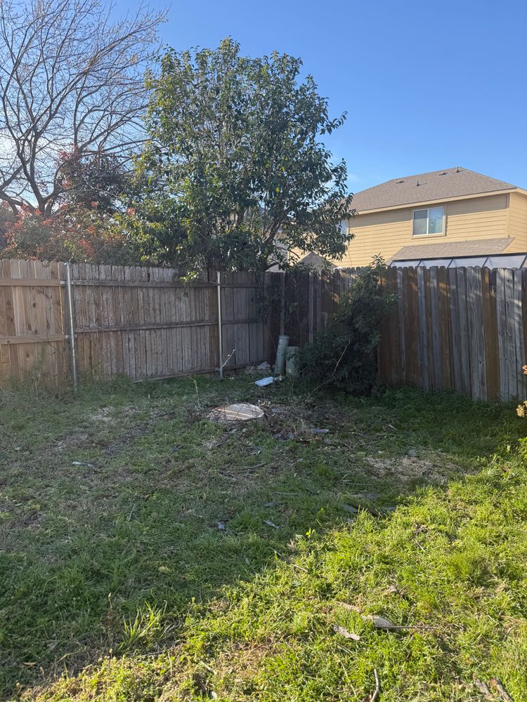 All Photos for Blu-J Tree Care in Arlington, TX