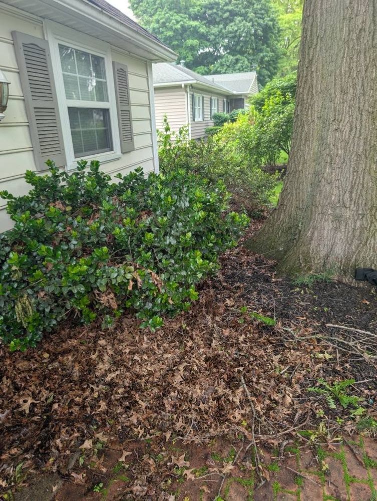 Landscaping for Knapps Landscaping and Lawn Care in Marion, OH