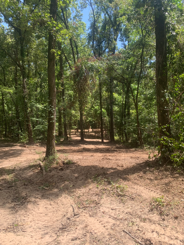 All Photos for Polasini Land Development in Starkville, MS