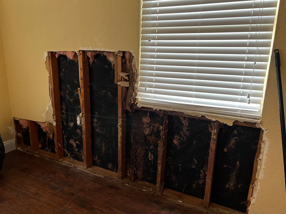 Mold Remediation for N&D Restoration Services When Disaster Attacks, We Come In in Cape Coral,  FL