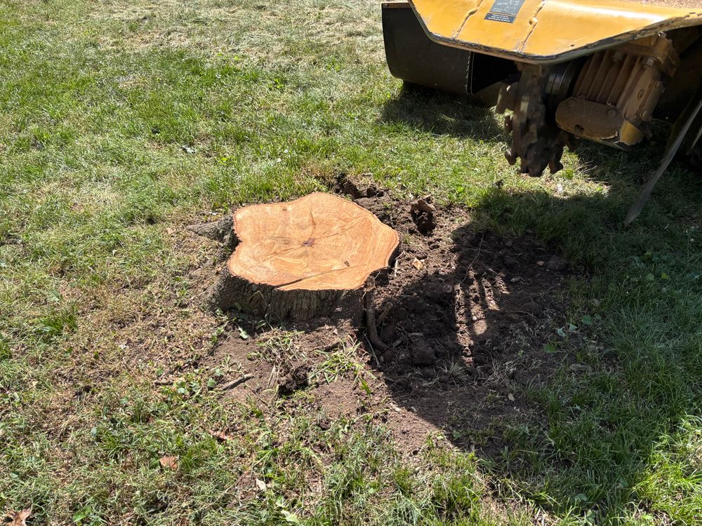 All Photos for Conrad's Stump Removal in Columbus, IN