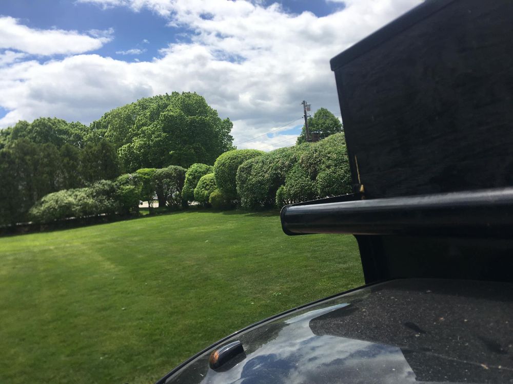 Tree Removal for Green In Green Out Tree Services in Westbrook, ME