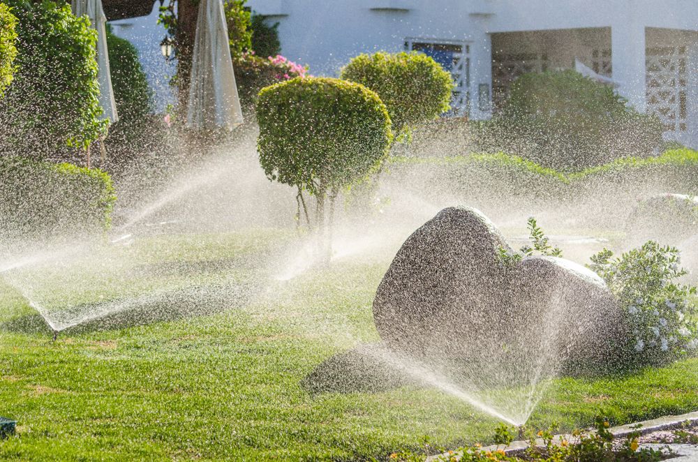 Our professional team designs and installs efficient irrigation systems tailored to your landscape, ensuring optimal water distribution for healthy plants while conserving resources and lowering maintenance costs in the long term. for ALOV Landscaping in Stockton, CA