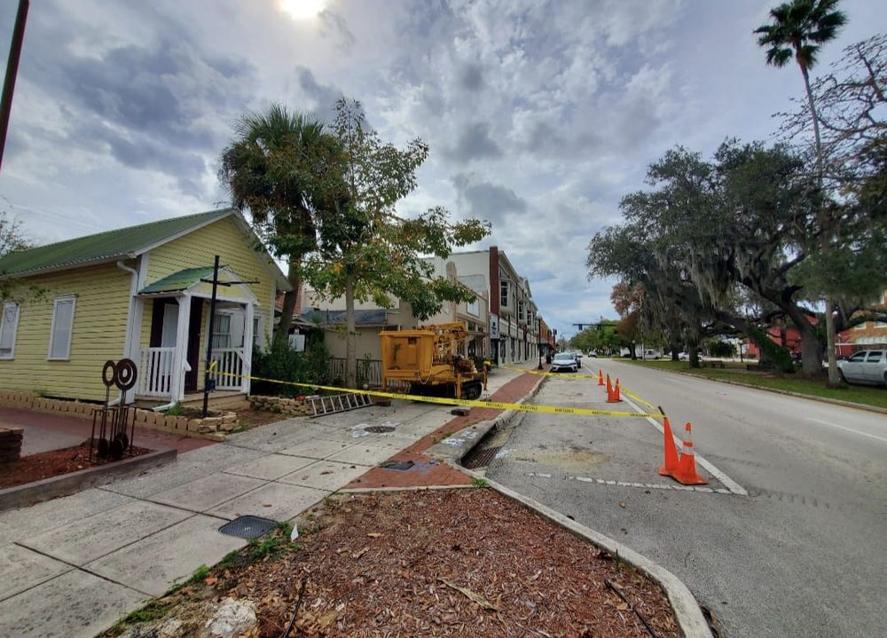 Tree Removal for Regal Tree Service and Stump Grinding in Wauchula, FL