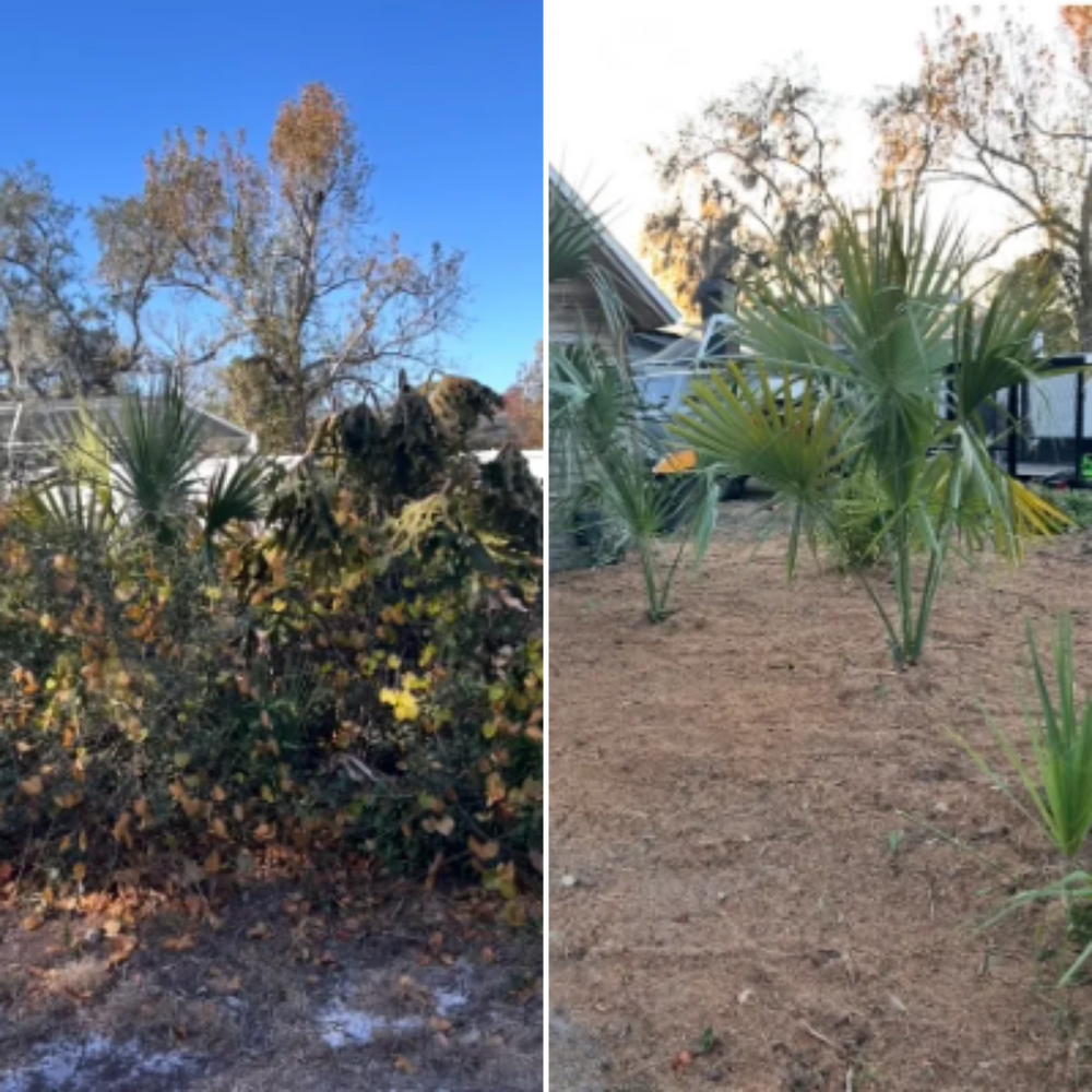 All Photos for Greene Acres Stump Grinding in Plant City, FL