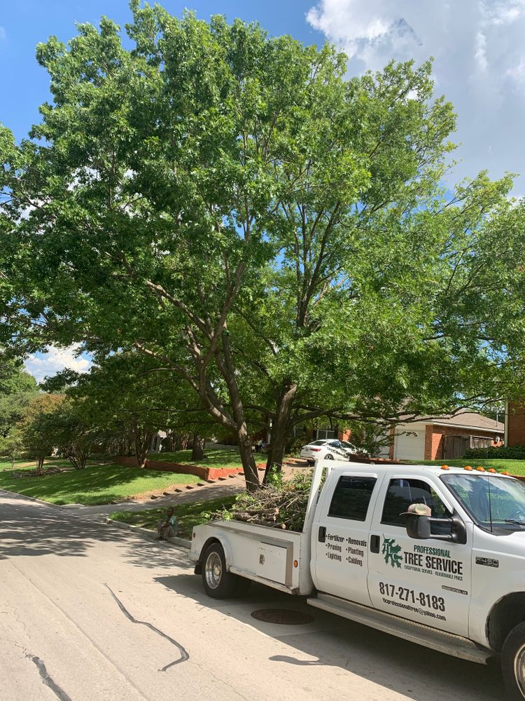 All Photos for TLC Professional Tree Service in Bedford, TX