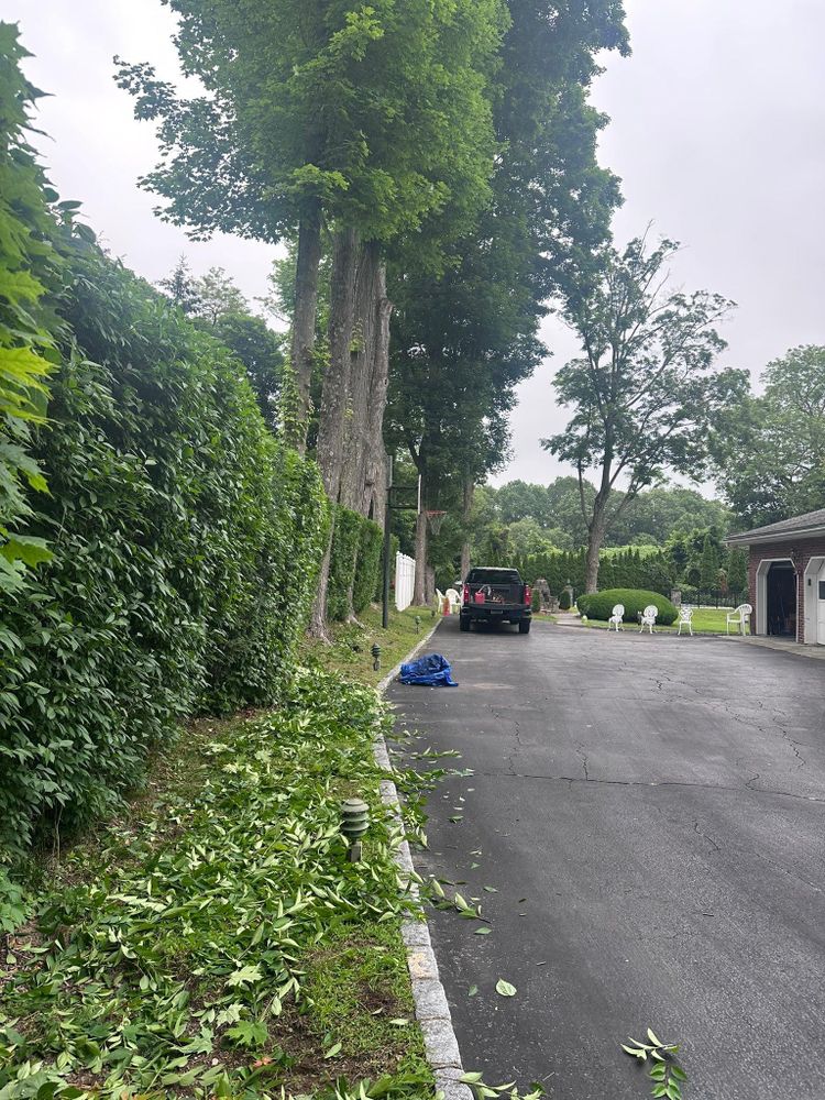 All Photos for Guaman’s Landscaping in Waterbury, CT