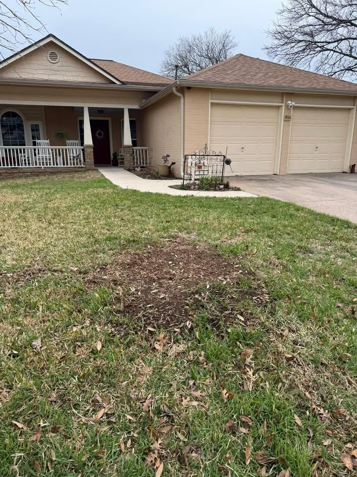 All Photos for Oakley’s Stump ‘N Grind in Leander, TX