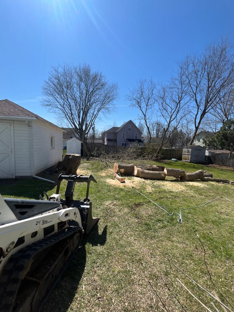 Tree Removal for Licensed to Cut Tree Service in Athens, PA