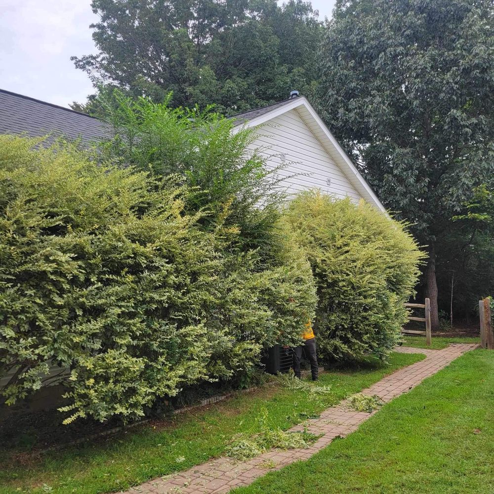 All Photos for Stem Tree Service in Belmont, NC