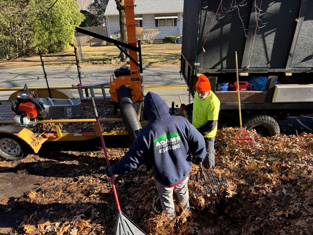 All Photos for Adams Landscaping in Springfield, MA