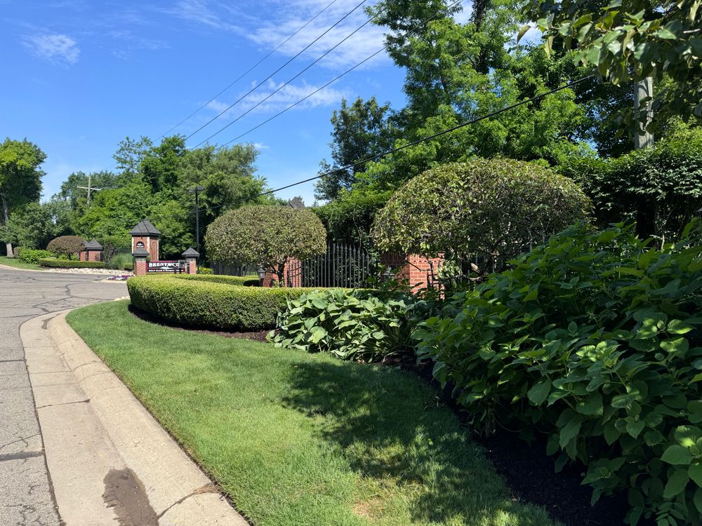 Landscape Maintenance for Steed's Lawn and Landscape LLC in White Lake, MI