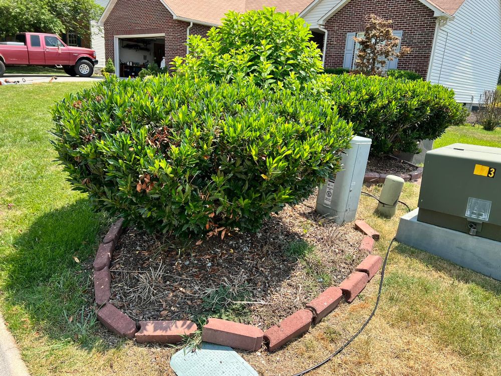 All Photos for TJ’s Landscaping in Knoxville, TN