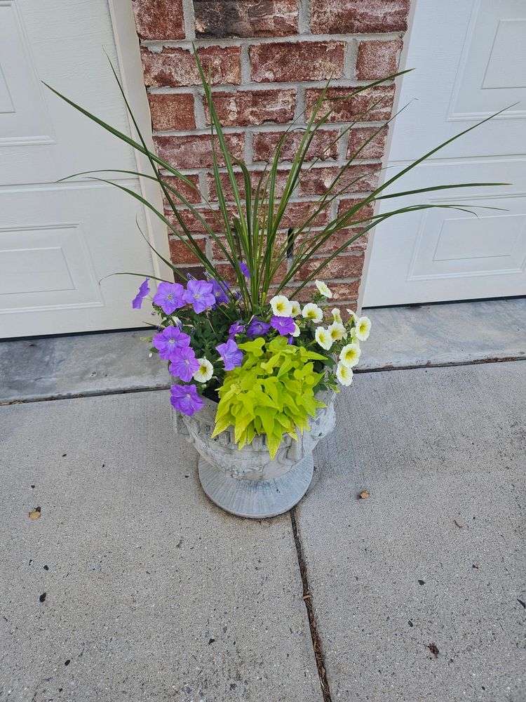 All Photos for Trinity Landscapes  in Lumberton, NC