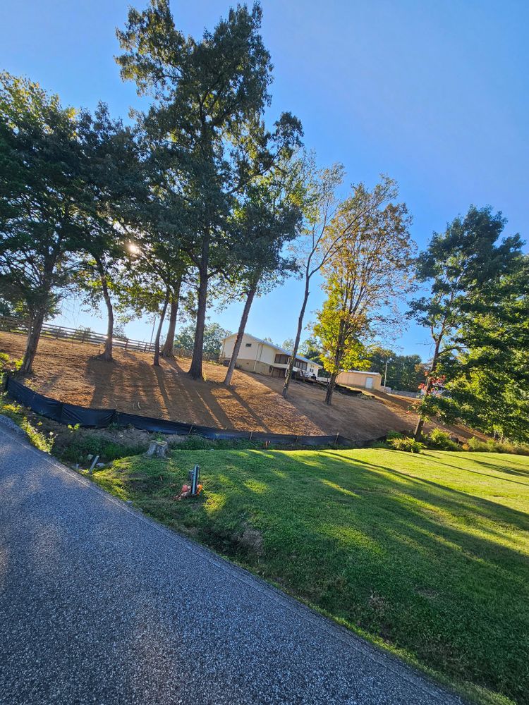 Our land clearing service efficiently prepares your property for new projects, improving landscape safety and aesthetics while ensuring environmental compliance. Trust our expert team to transform your outdoor space effortlessly. for S&M DIRT TECH LLC in Knoxville, TN