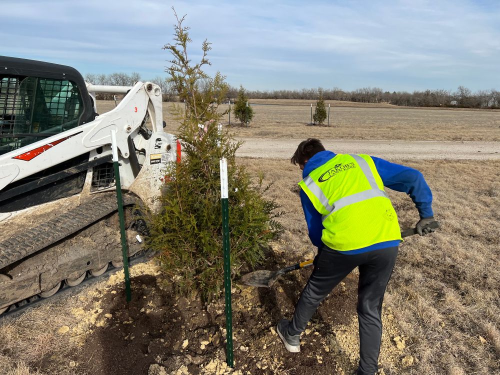 Enhance your outdoor space with our expert tree planting service, adding beauty and shade to your property. Let us help you create a lush and sustainable landscape for your home. for Jakob’s Lawn Kare in Wichita, KS