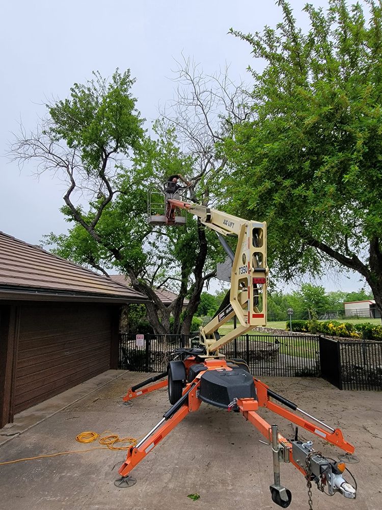 Tree Removal for RACSO RDZ LLC in McKinney, TX
