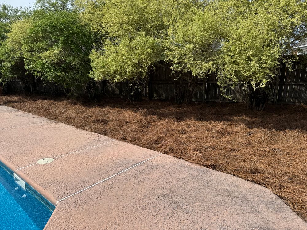 All Photos for Camalett Services in Perry, GA