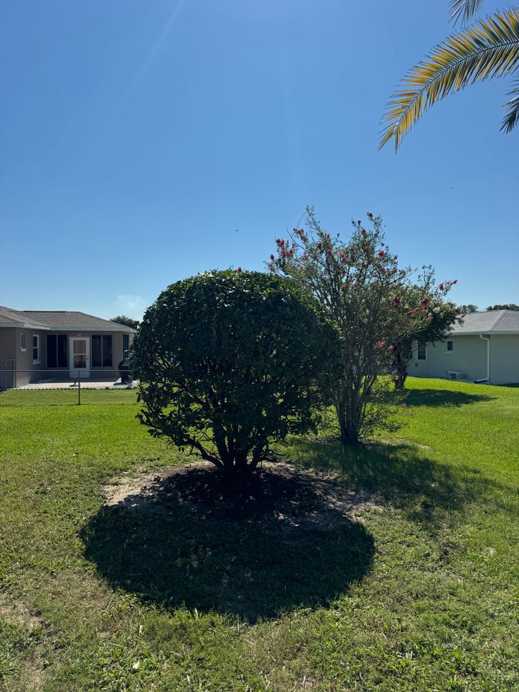 All Photos for Young's Lawn Services LLC in Ocala, FL
