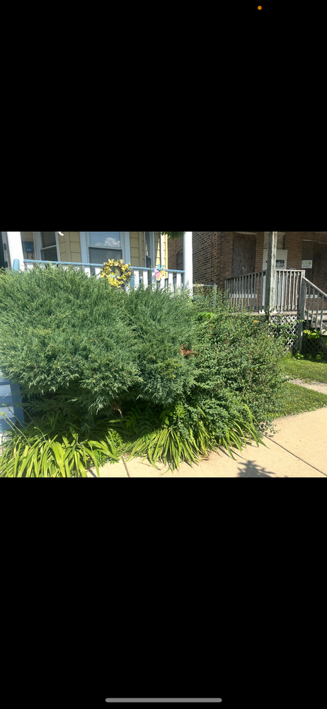 All Photos for Superior Lawn Care & Snow Removal LLC  in Chicago, IL