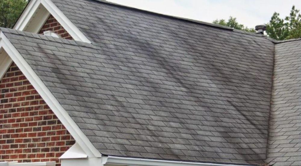 Other Services for Frontline Roofing & Home Services in Shelbyville, KY