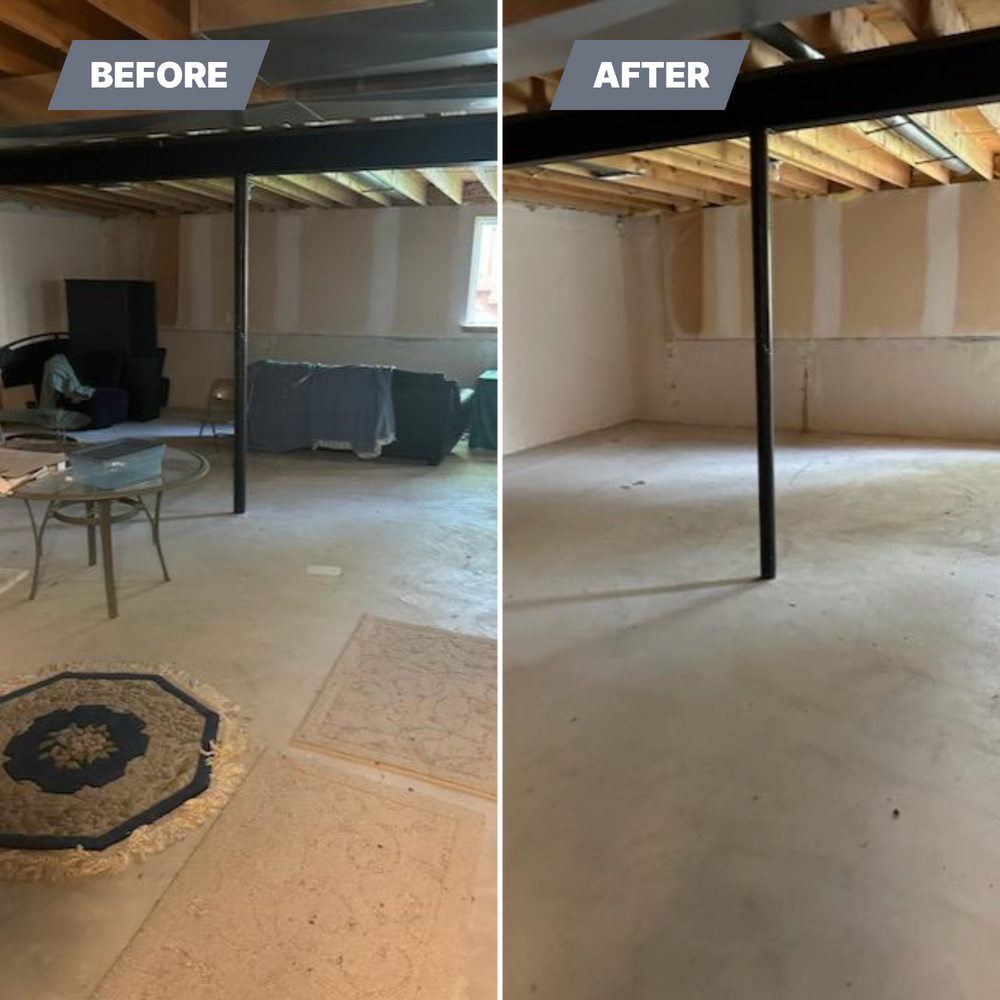 Before & Afters for Blue Eagle Junk Removal in Oakland County, MI