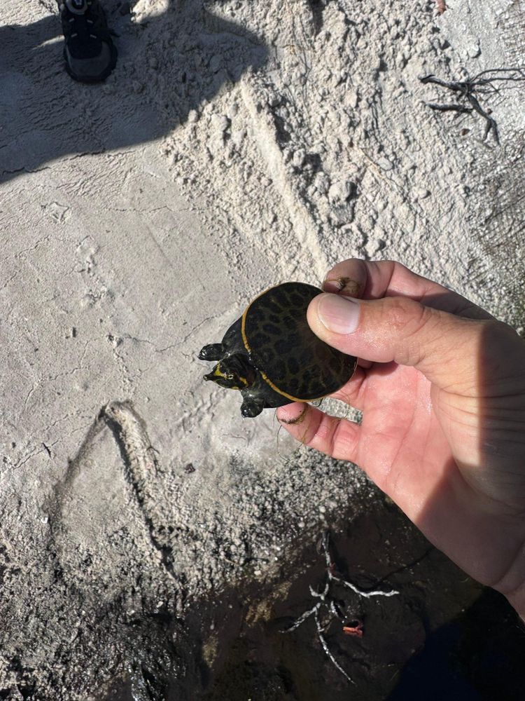 All Photos for McLeran in Naples, FL