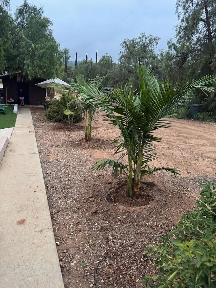 All Photos for Herreras Land Service in San Diego, CA