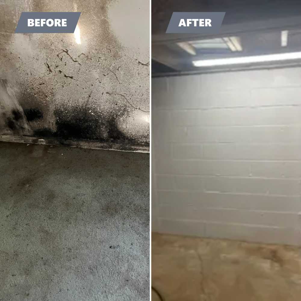 Mold Remediation for EFG Cleaning and Restoration in Poughkeepsie, NY