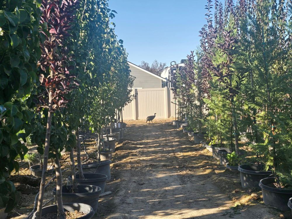 All Photos for Mike's Grading Plus in Caldwell, ID