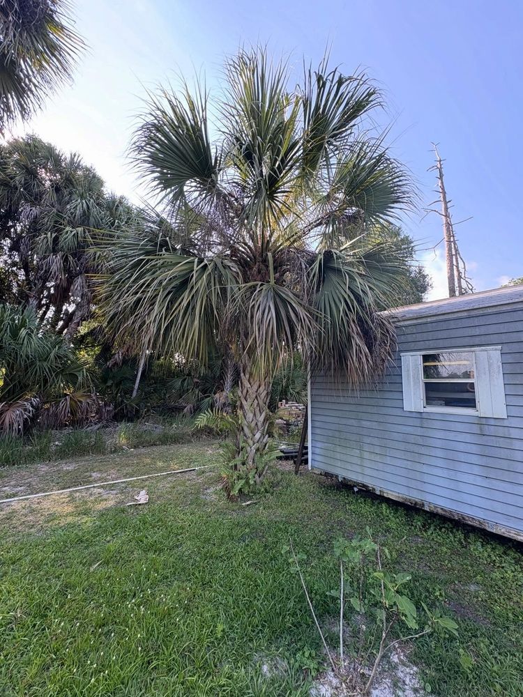 All Photos for R&R GreenWorks in North Port, FL