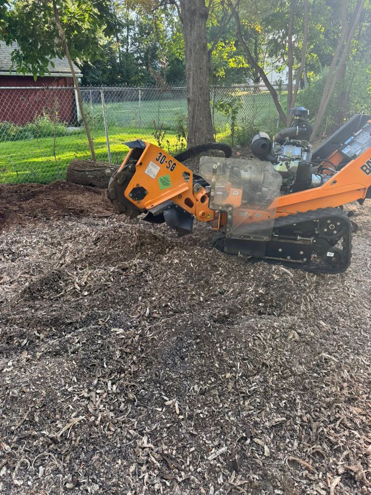 Stump Removal for Jills Stump Grinding and Firewood in Shelton, CT