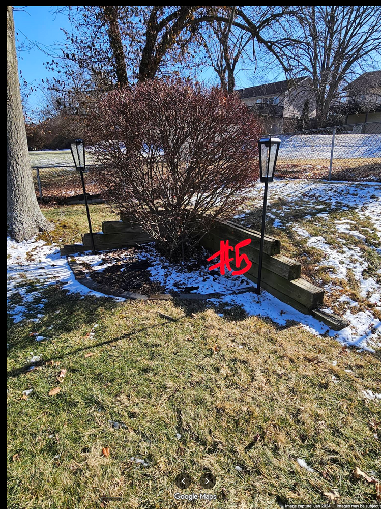 All Photos for Jackson Lawn Services LLC in St Louis, MO