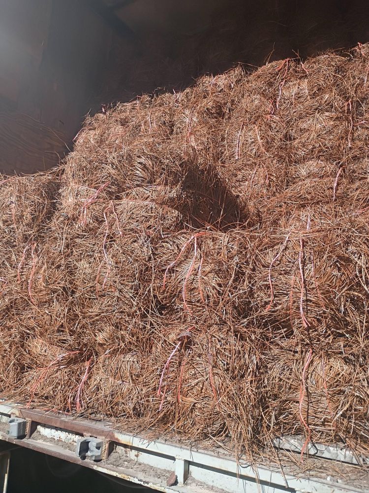 All Photos for BAM Another Pinestraw Lot in Flowery Branch, GA