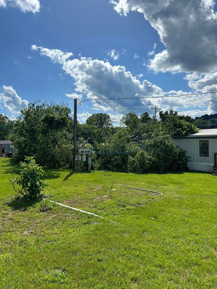 All Photos for NRV Tree Pro, LLC in Narrows, VA