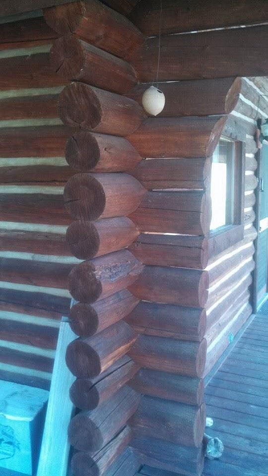 Log Home Restoration for True Blue Logworks LLC in Corvallis, MT