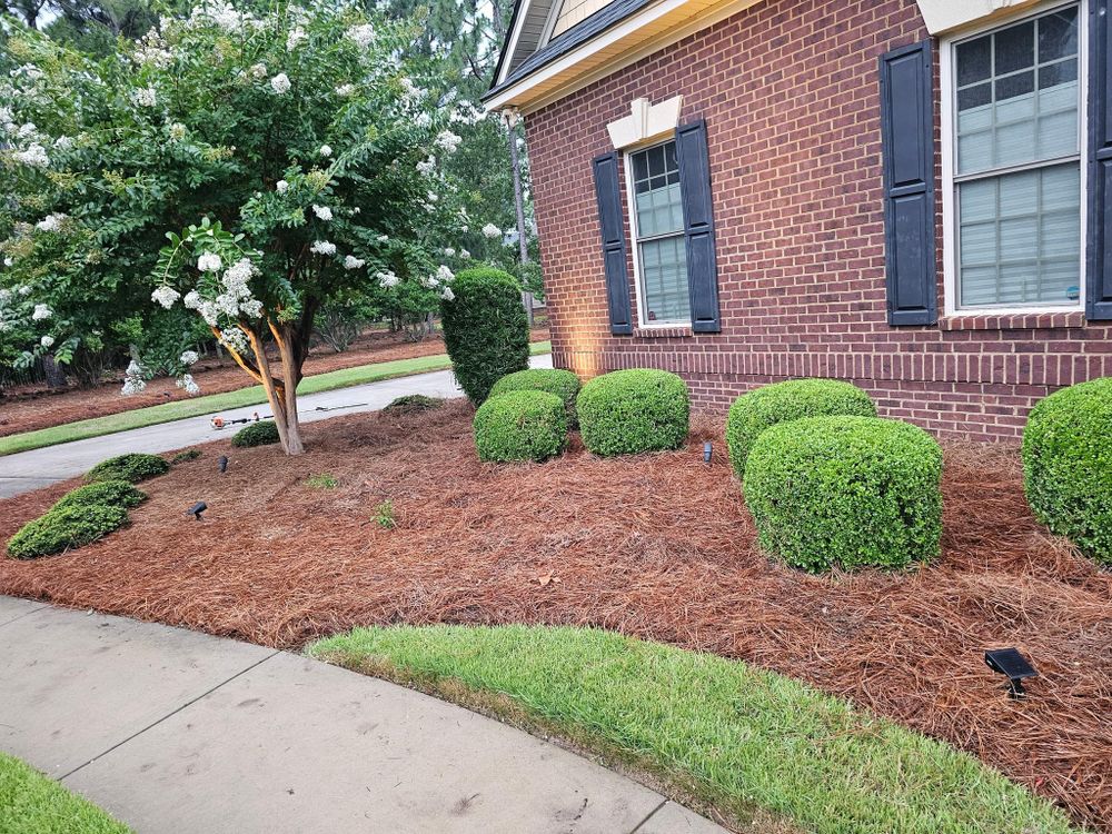 All Photos for 1 Man Does It Lawn Service in Blythewood, SC